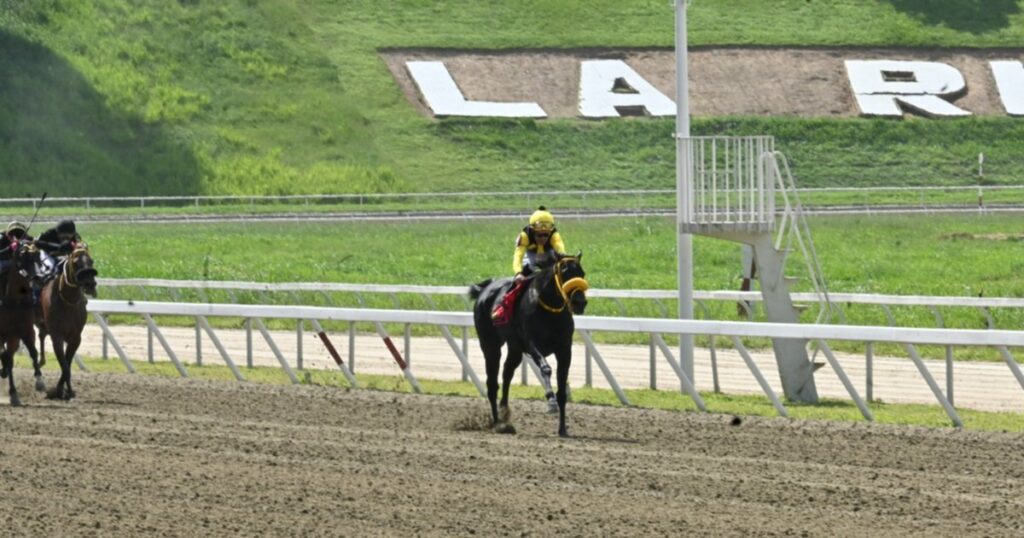 Datos de Última Hora para el Hipódromo La Rinconada 20-7-2025