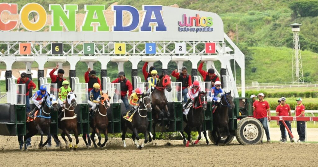 Datos de Última Hora para el Hipódromo La Rinconada 26-7-2025
