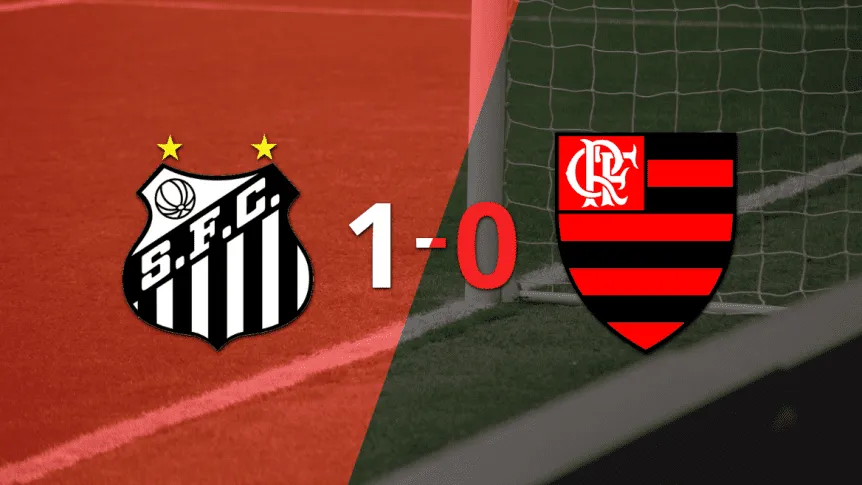 ◉ Santos vs. Flamengo en vivo: seguí el partido minuto a minuto