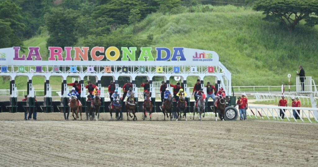 Datos de Última Hora para el Hipódromo La Rinconada 17-8-2025