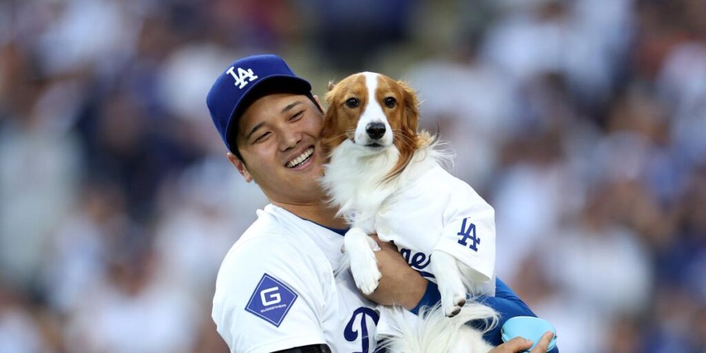 Conoce a Decoy, el perro de Shohei Ohtani cuyo nombre tiene un significado muy curioso