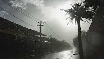 El pronóstico del estado del