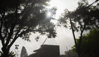 El pronóstico del clima en