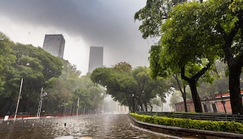 El pronóstico del estado del
