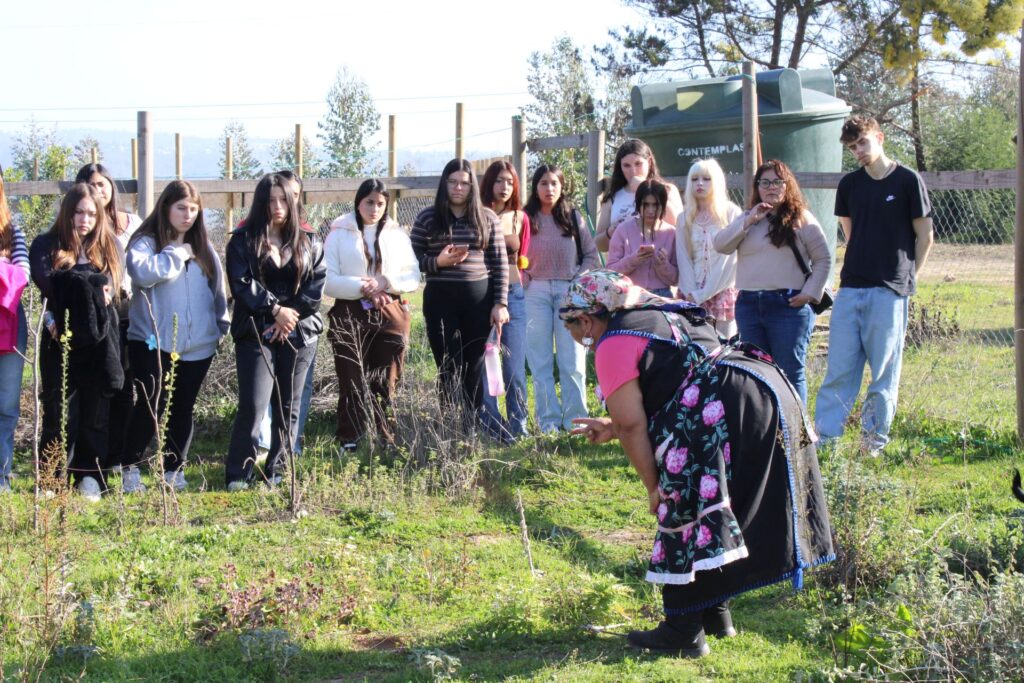 Estudiantes de Enfermería exploran la medicina ancestral mapuche desde la química y la interculturalidad