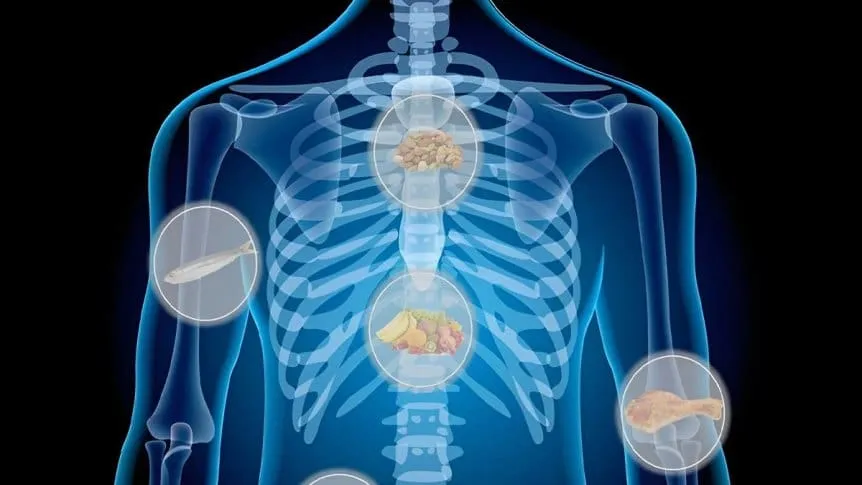 Un súper alimento que recomiendan para tener huesos fuertes y sanos