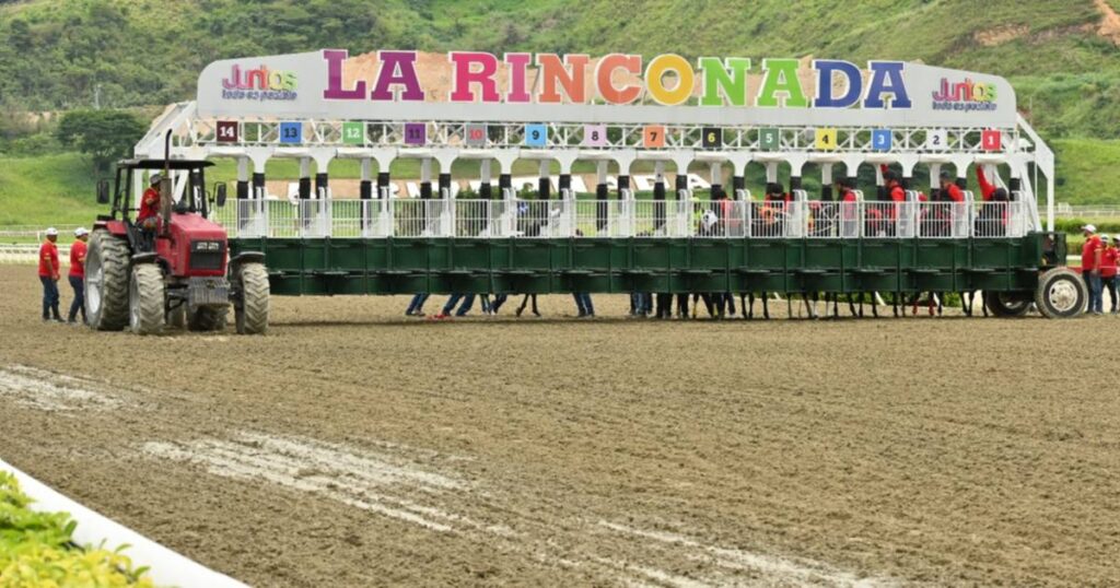 Descubre por qué perdió la yegua más popular del 5y6