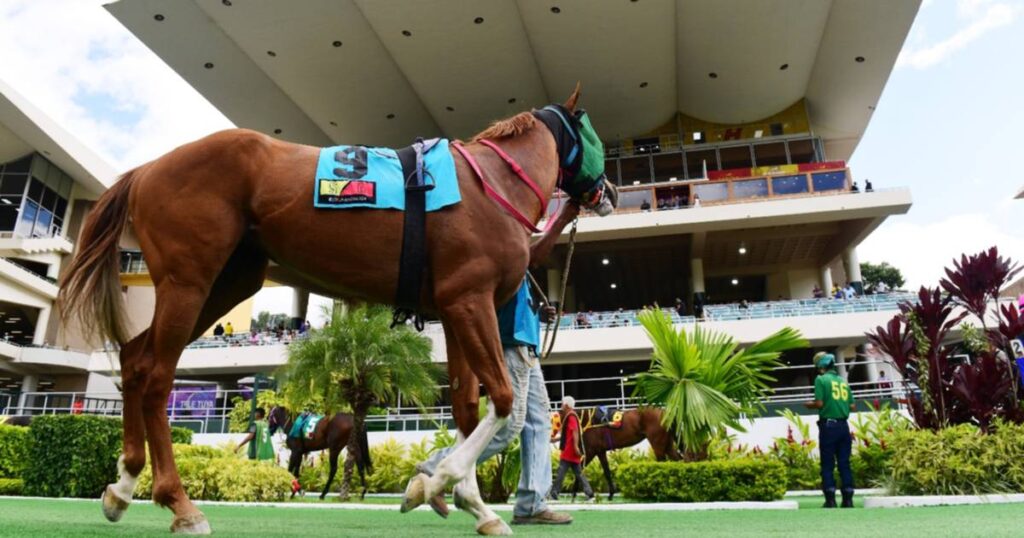 Datos de Última Hora para el Hipódromo La Rinconada 28-9-2025