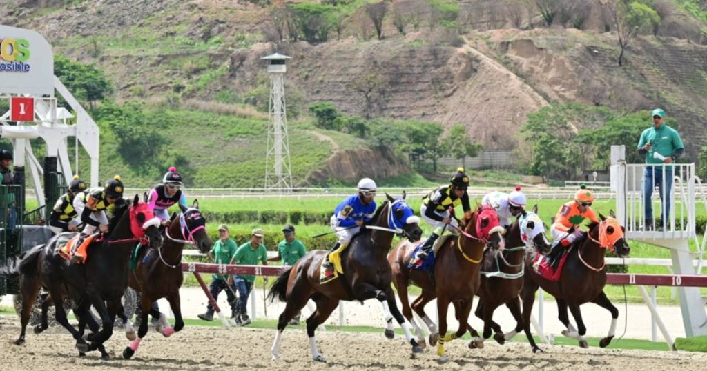 ¡Atención Hípicos! La alternativa al duelo Bendito vs. Rey Enigma el batacazo de la tarde está aquí