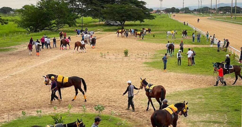 Un formidable padrillo logra esta hazaña sin precedente en el hipismo venezolano