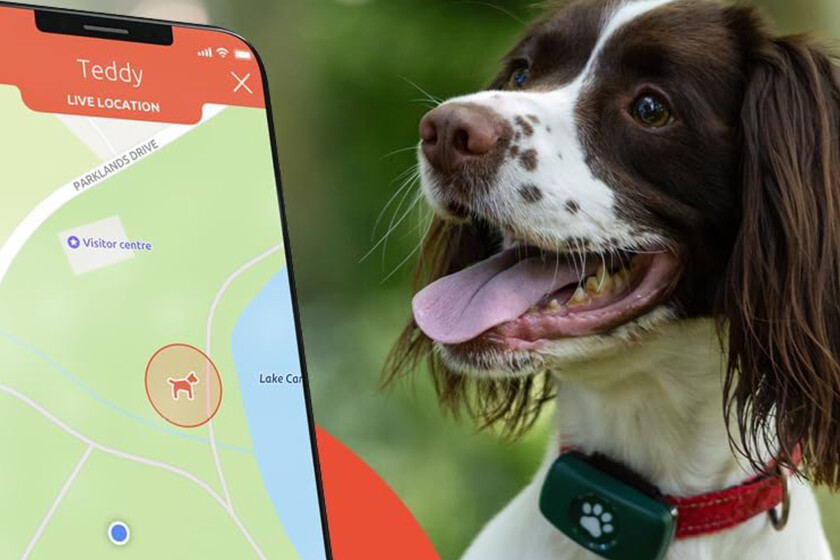 este GPS sin suscripción está rebajado