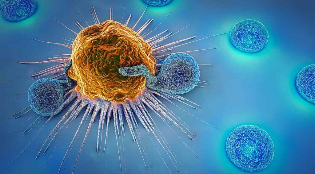 Nueva inmunoterapia promete ampliar la lucha contra el cáncer