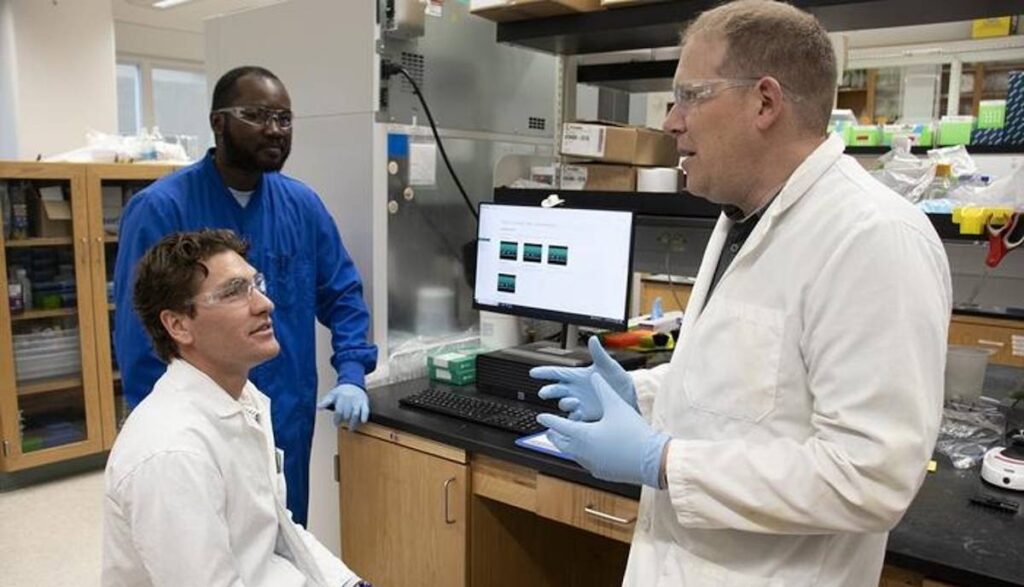Nuevos hallazgos sobre CRISPR podrían conducir a mejores herramientas de diagnóstico para Covid, gripe y VRS