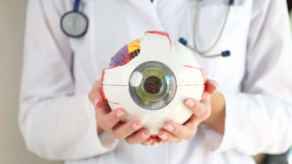 La retina, clave para una detección temprana del alzhéimer